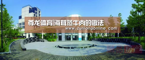 龙尊娱乐