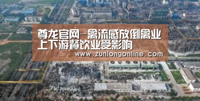 龙尊娱乐