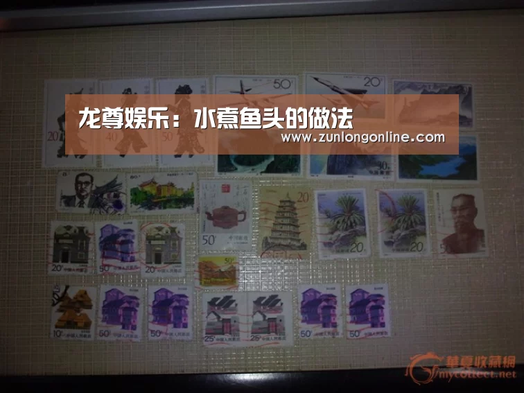 龙尊娱乐:水煮鱼头的做法(图2) 龙尊娱乐